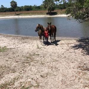 Meet your Posher, Autumn